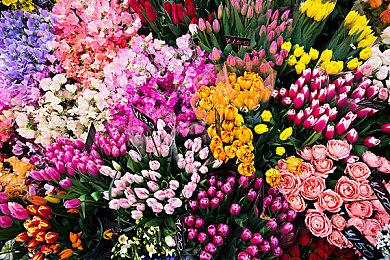 业内人士的品味？顽皮狗工作室选出2021年度游戏