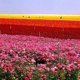 精美像素风格高难度2D动作游戏《第莫西和姆之塔》已于8月9日上架Steam！